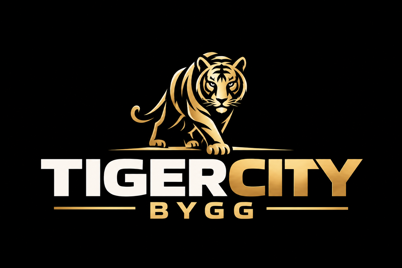 TigerCity Bygg